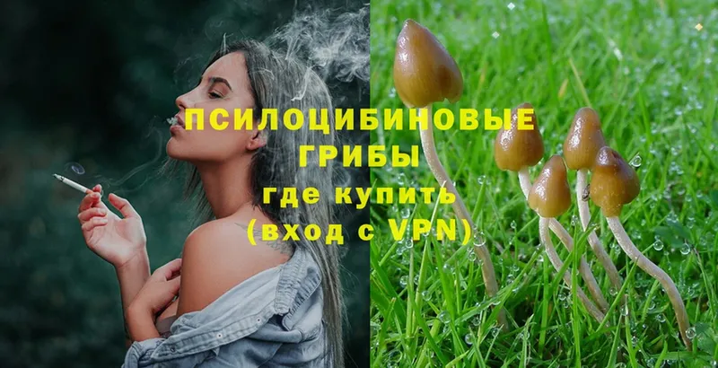 Галлюциногенные грибы MAGIC MUSHROOMS  Яровое 